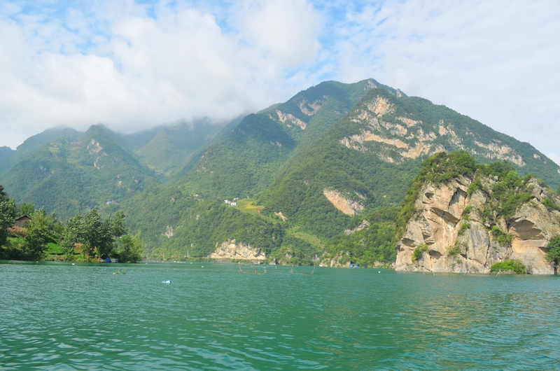 DSC_0252.jpg