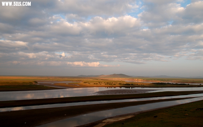 DSC_0203.jpg