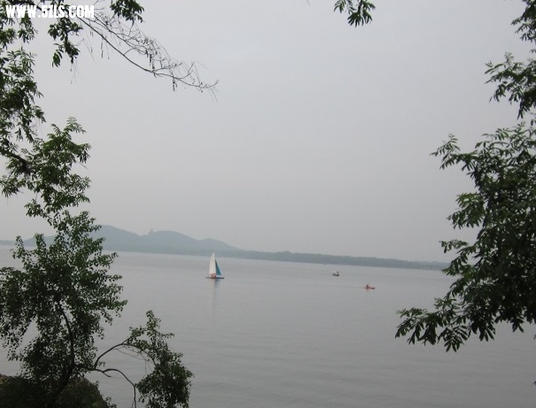 IMG_1537x.jpg