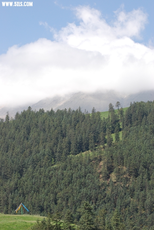 DSC_8932.jpg
