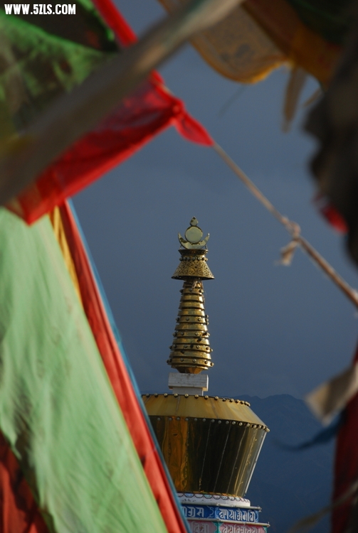 DSC_8988.jpg