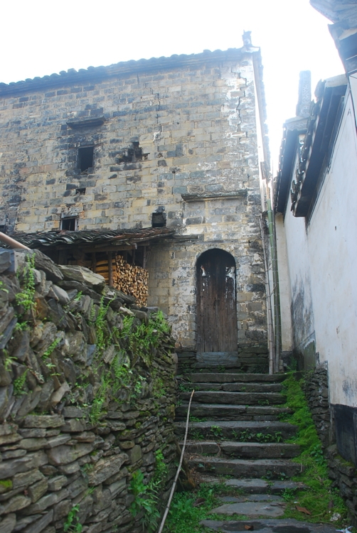 DSC_8739.jpg