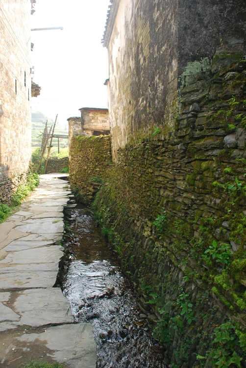 DSC_8747.jpg