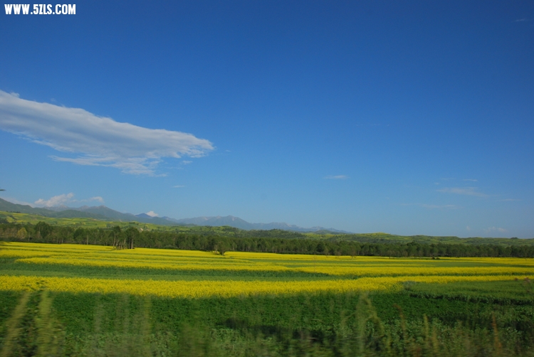DSC_9079.jpg