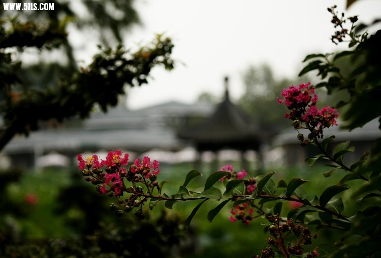 _MG_4647.jpg