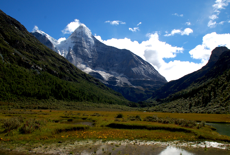 DSC_0512.jpg
