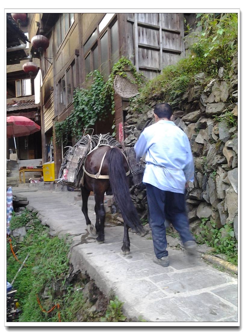 20130802_183131.jpg