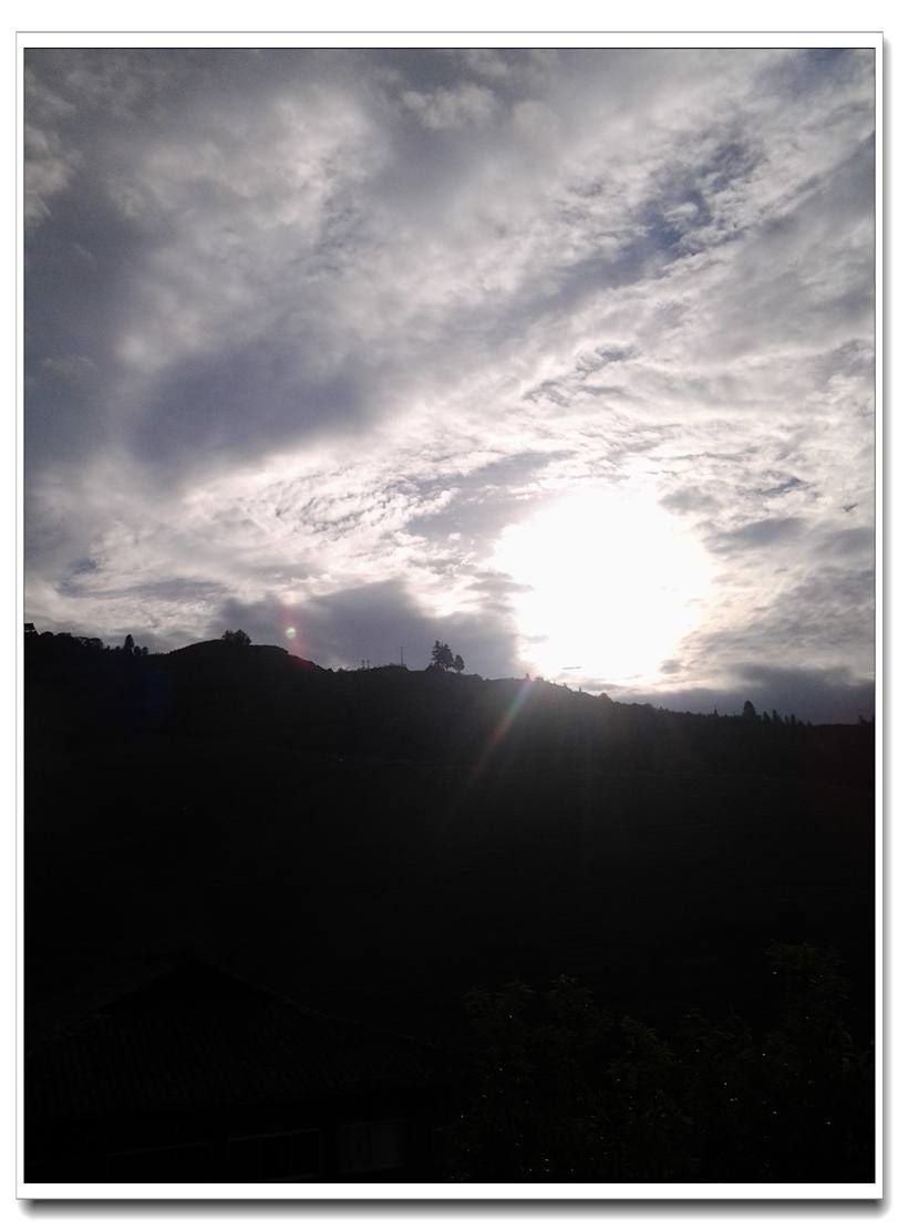 20130803_073518.jpg