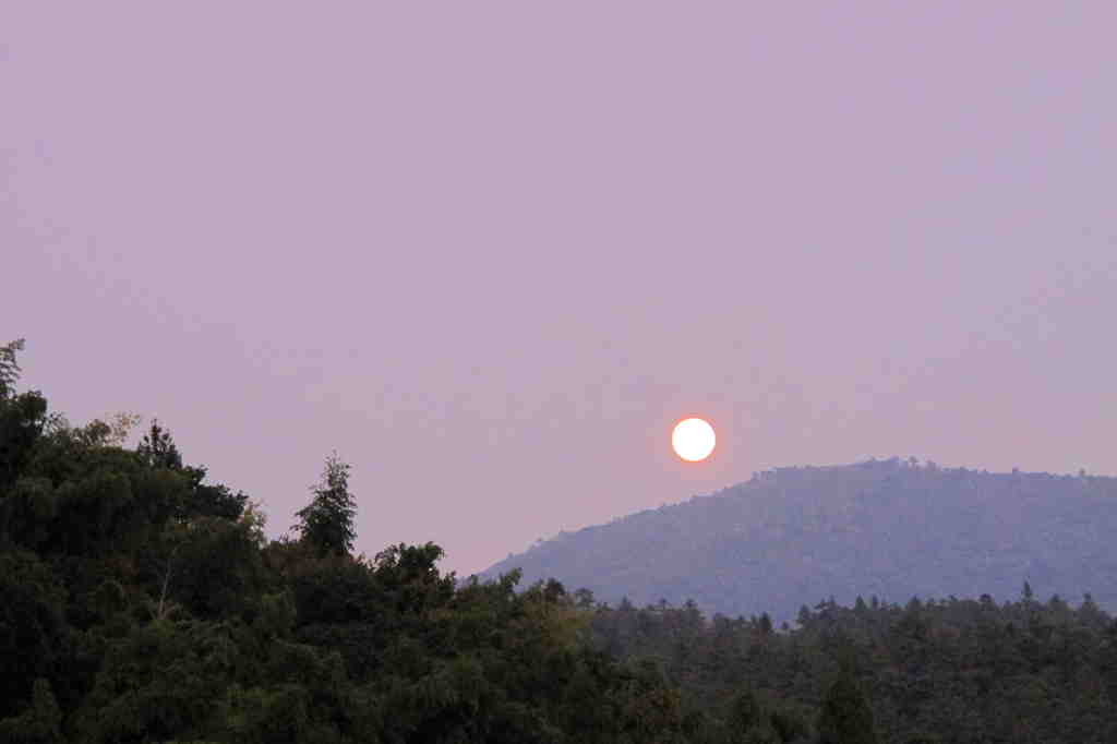 IMG_3262_.jpg