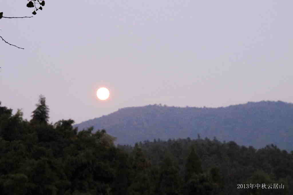 IMG_3267_.jpg