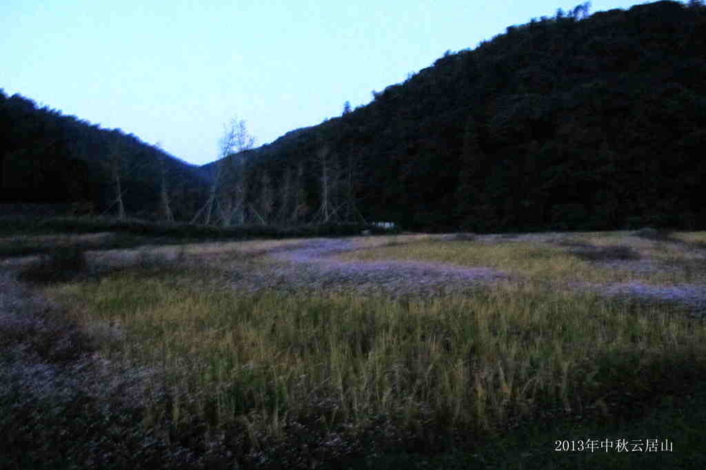 IMG_3273_.jpg