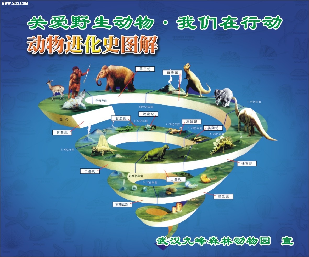 50x60cm-1.jpg