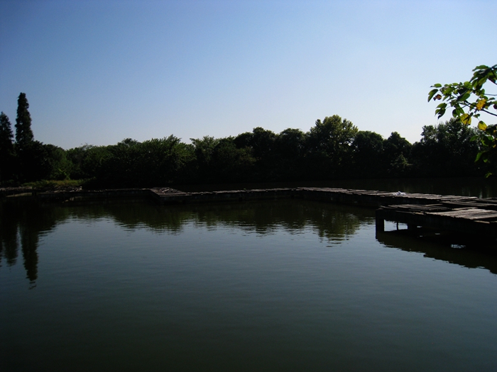 IMG_1316.JPG
