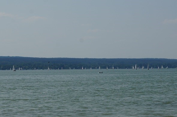 p3.jpg
