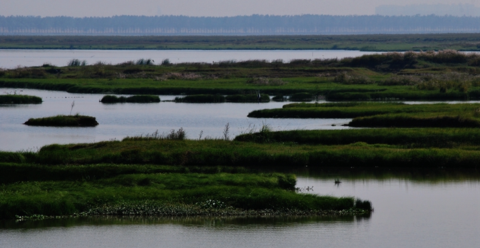 DSC_0364.JPG
