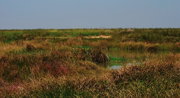 DSC_0403.JPG
