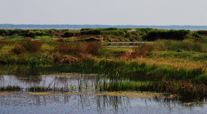 DSC_0395.JPG
