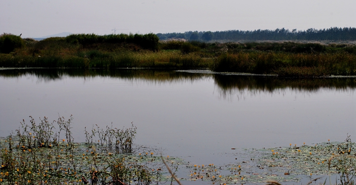 DSC_0408.JPG