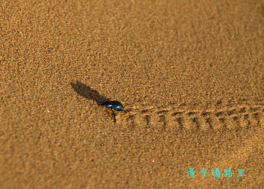 DSC_9495__.jpg