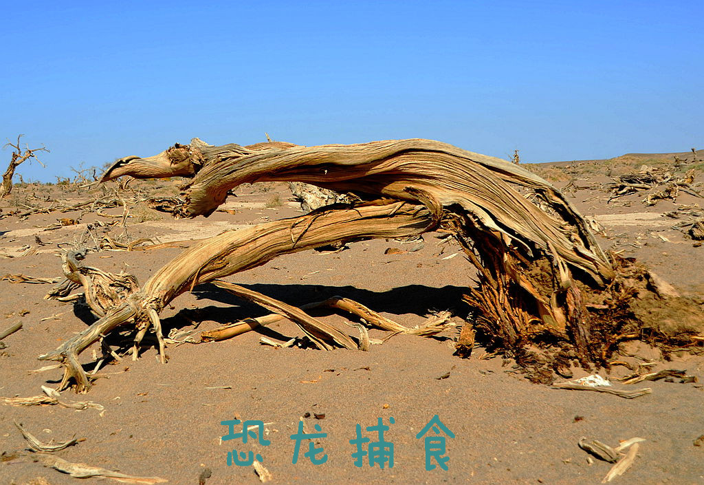 DSC_9978__.jpg