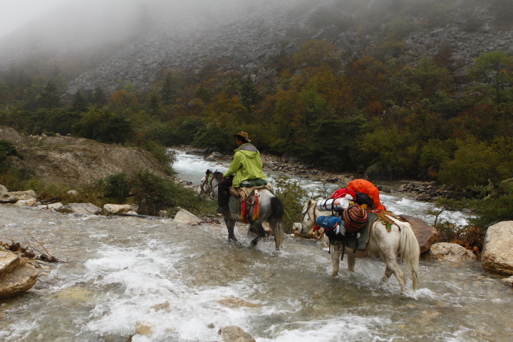 _MG_0030.JPG