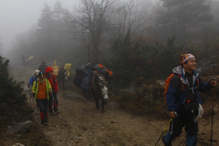 _MG_0107.JPG