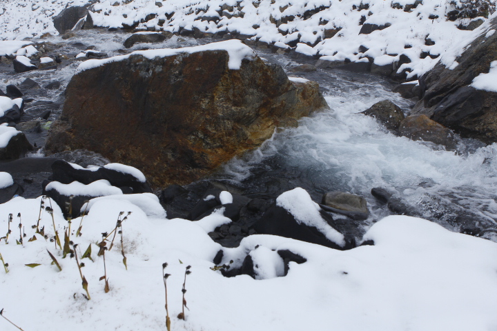 _MG_0069.JPG