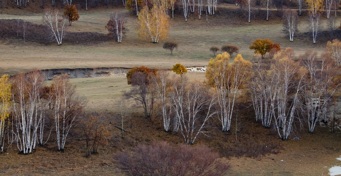 _MG_1621a.jpg