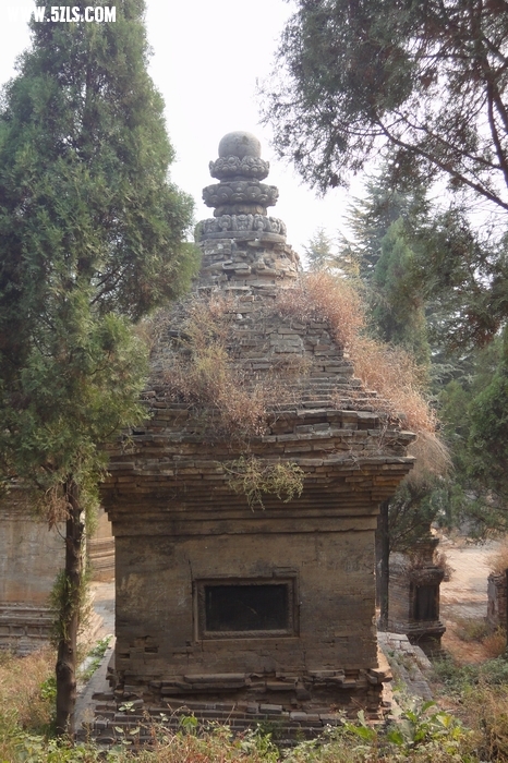 DSC04086.JPG