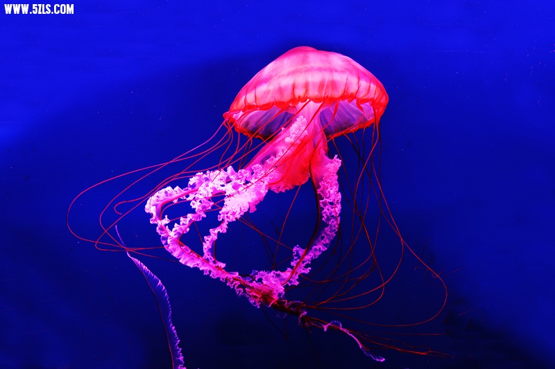 6U0B5689.JPG