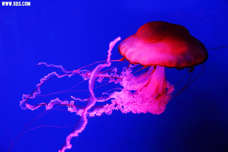 6U0B5710.JPG