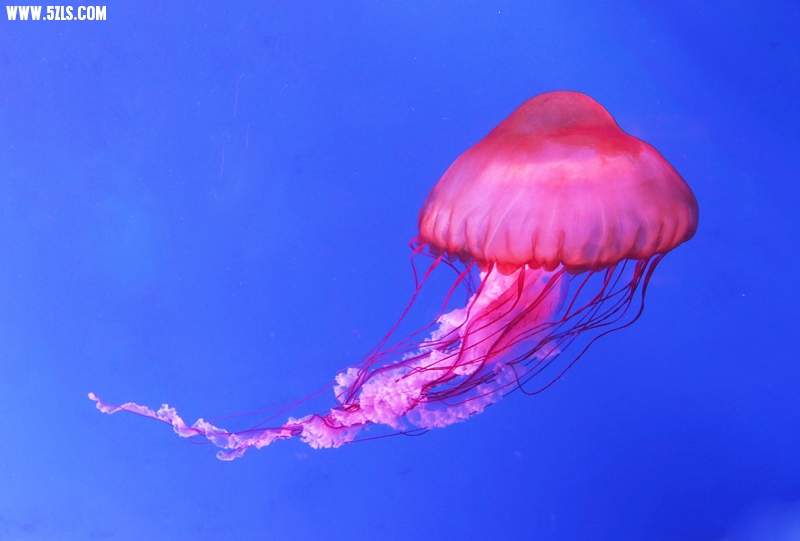 6U0B5741.JPG