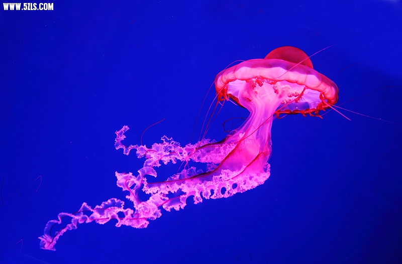 6U0B5815.JPG