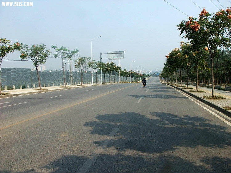 DSCF1195.jpg