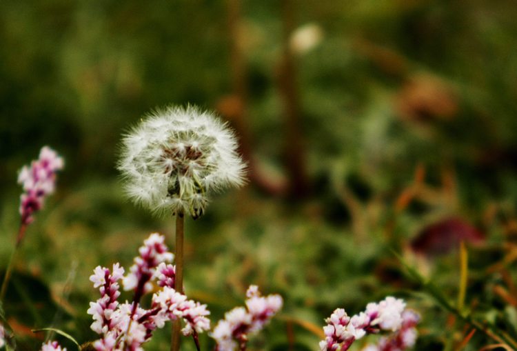 _MG_5416.jpg
