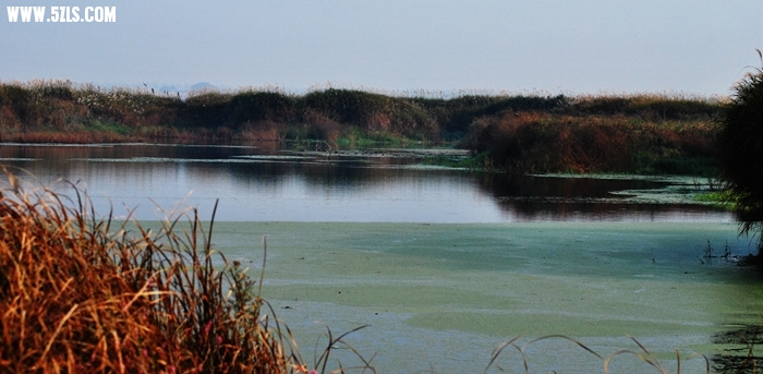 DSC_0704.JPG