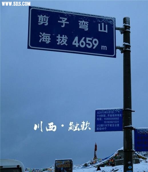 image.jpg