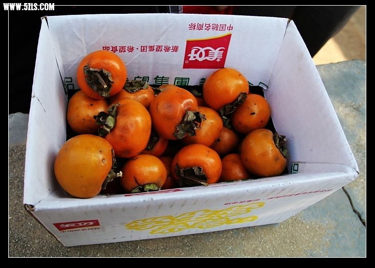 QQͼƬ20131027170354.jpg