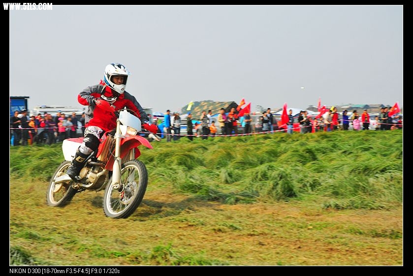 DSC_7052.jpg