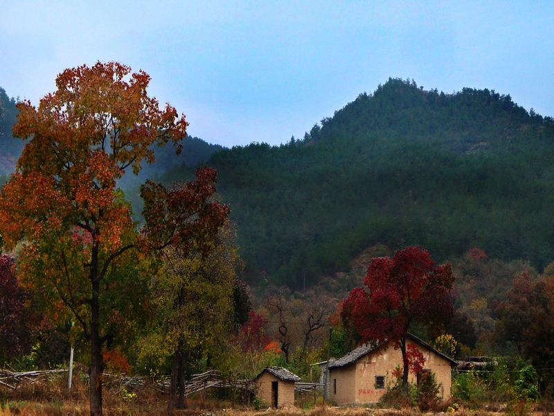 DSC01943a.jpg
