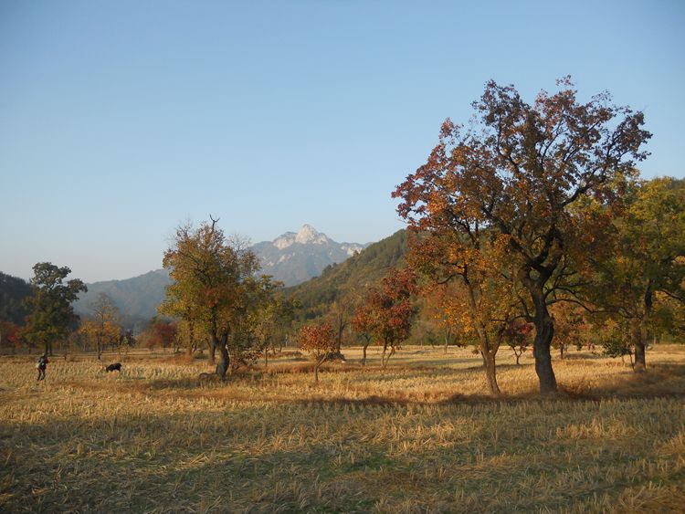 Ƭ 088.jpg