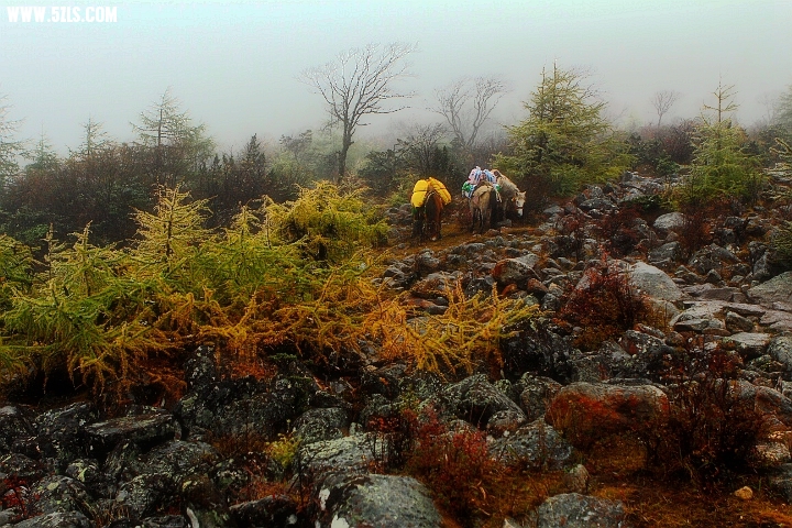 _MG_0306_.jpg