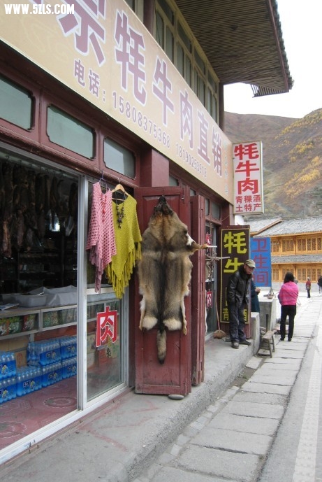 QQͼƬ20131106131317.jpg