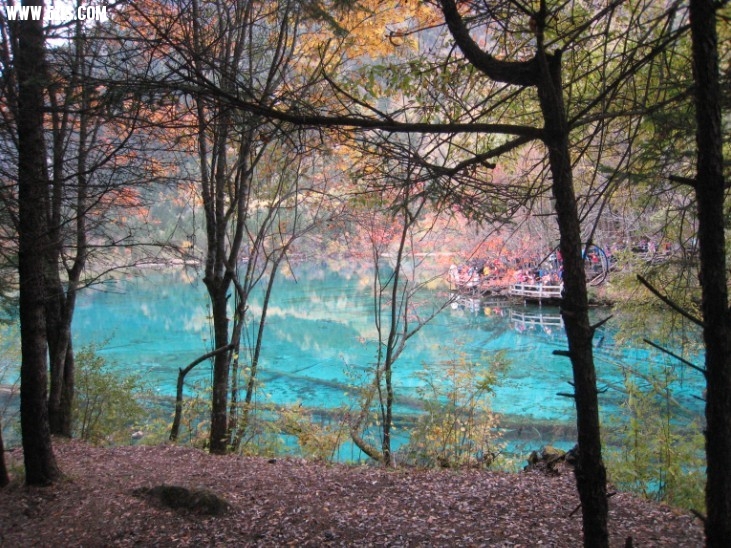 QQͼƬ20131106221429.jpg