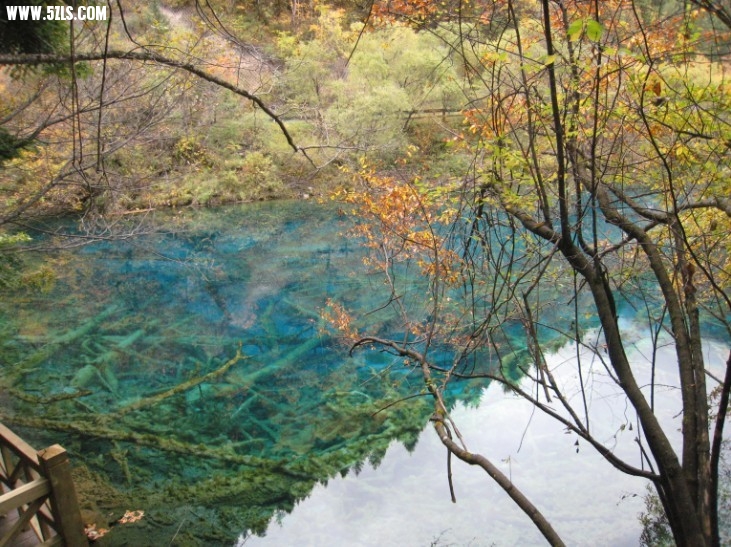 QQͼƬ20131106221753.jpg