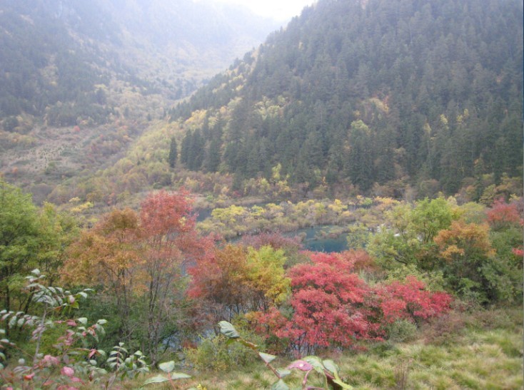 QQͼƬ20131107190857.jpg