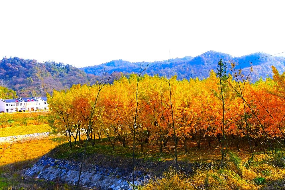 _MG_23261001.jpg