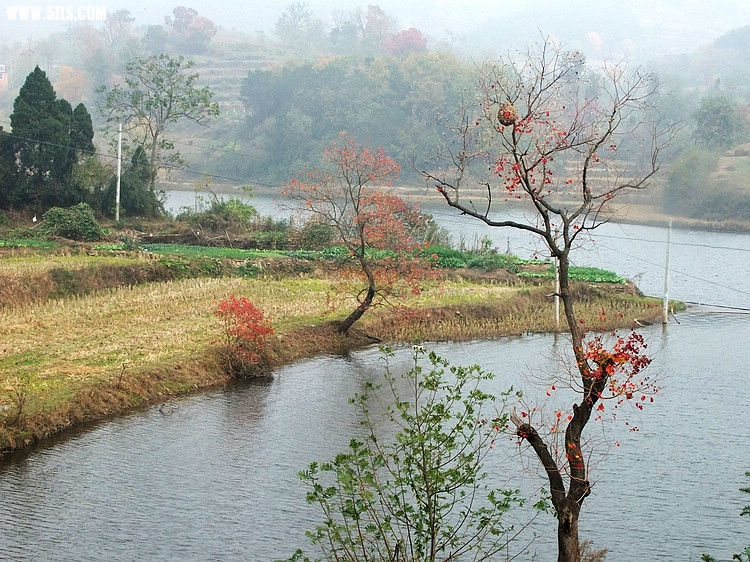 DSCF1946.JPG