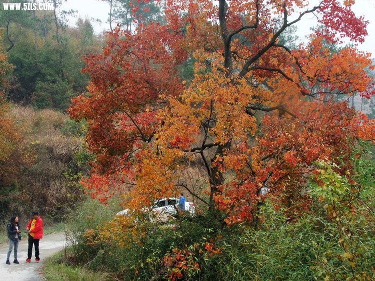 DSCF2029.JPG