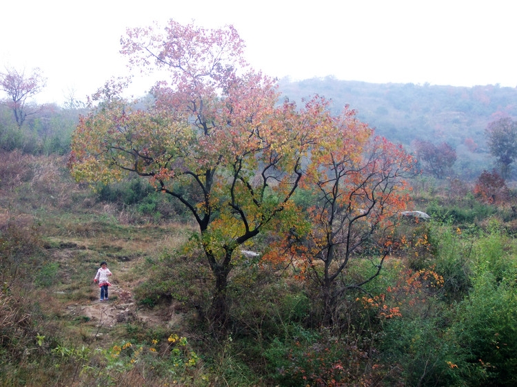 DSCF2179.JPG